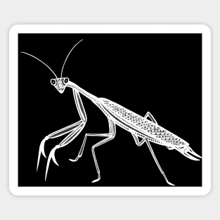 Praying Mantis - detailed hand drawn insect design Magnet